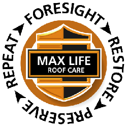 max life roof icon